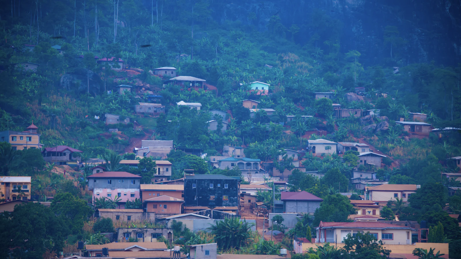 Nom de domaine .cm pour les entreprises de Yaoundé et du Cameroun